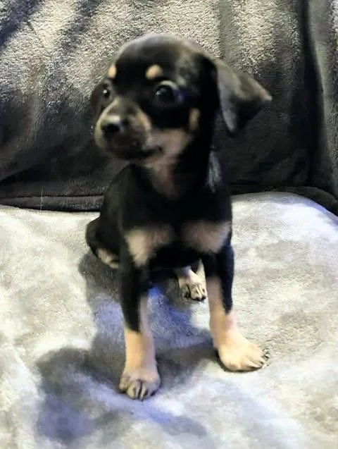 Nadia Lauren thumbnail 4