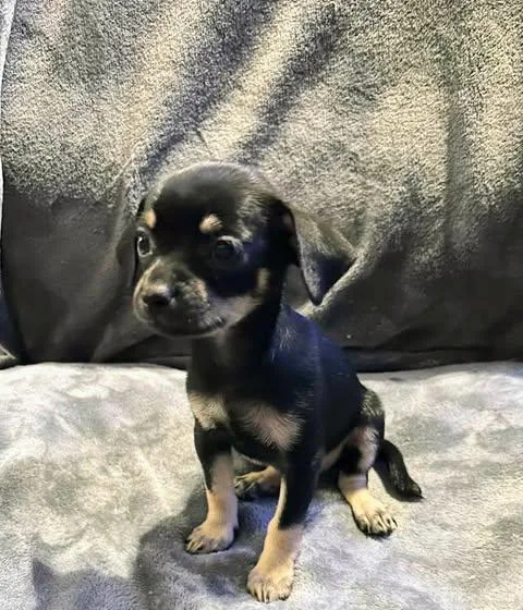 Nadia Lauren thumbnail 5