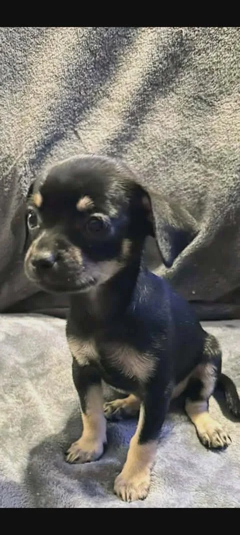 Nadia Lauren thumbnail 6