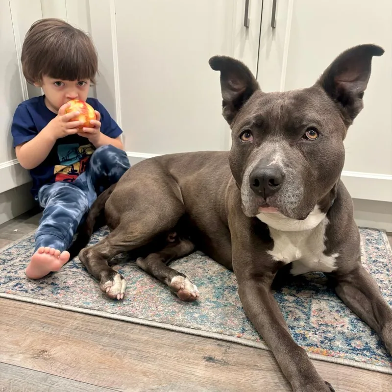 Fozzie Bear thumbnail 4