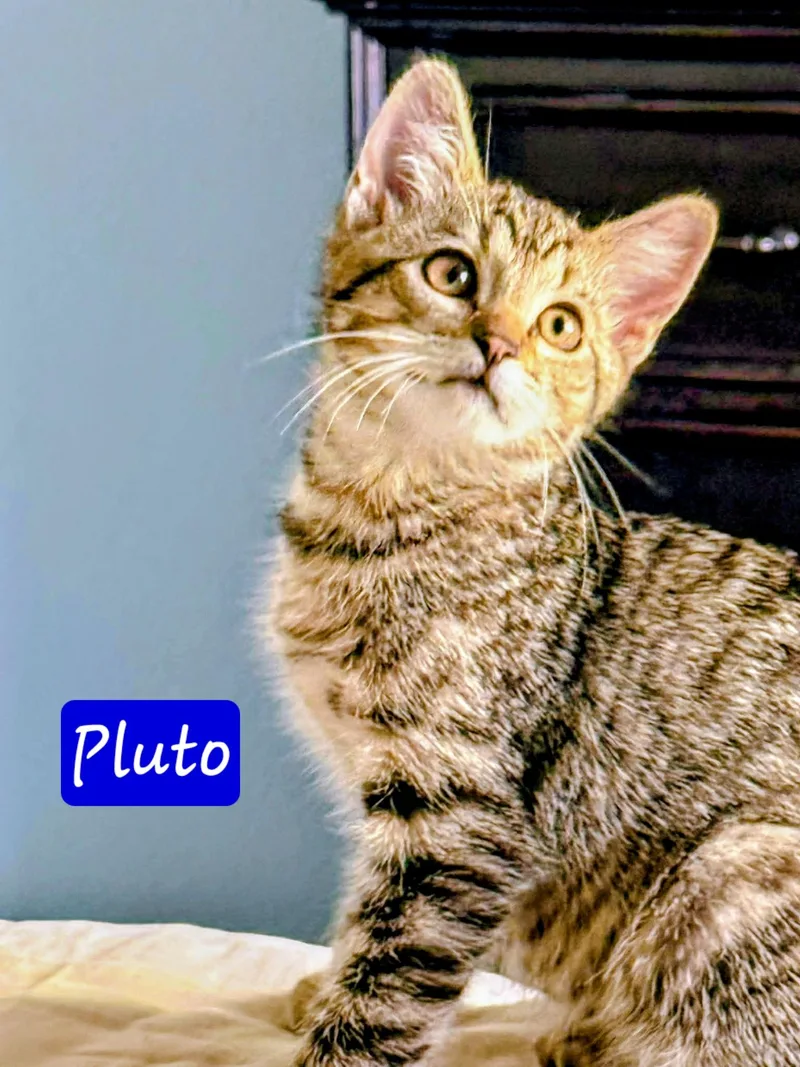 Pluto thumbnail 2