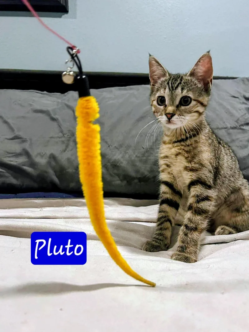 Pluto thumbnail 6