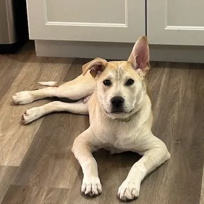 Bombay Spirits  Local thumbnail 2