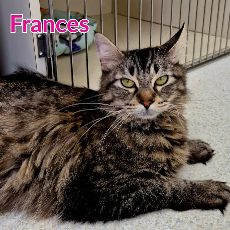 Frances