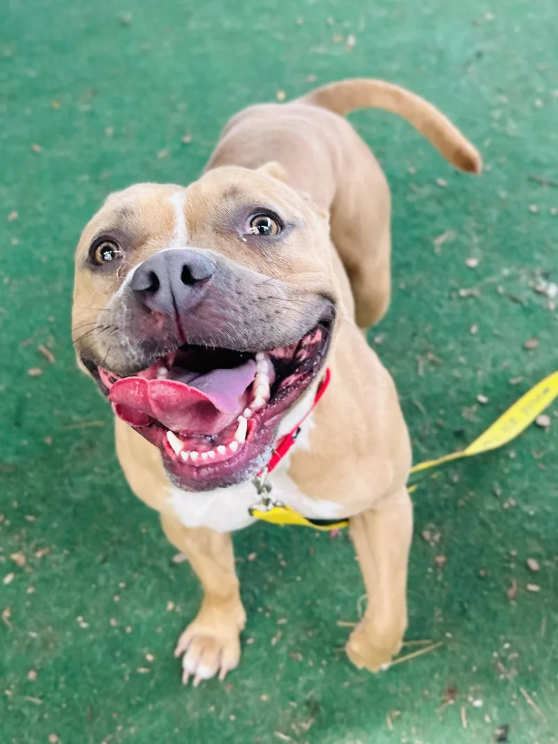 Mamacita thumbnail 2