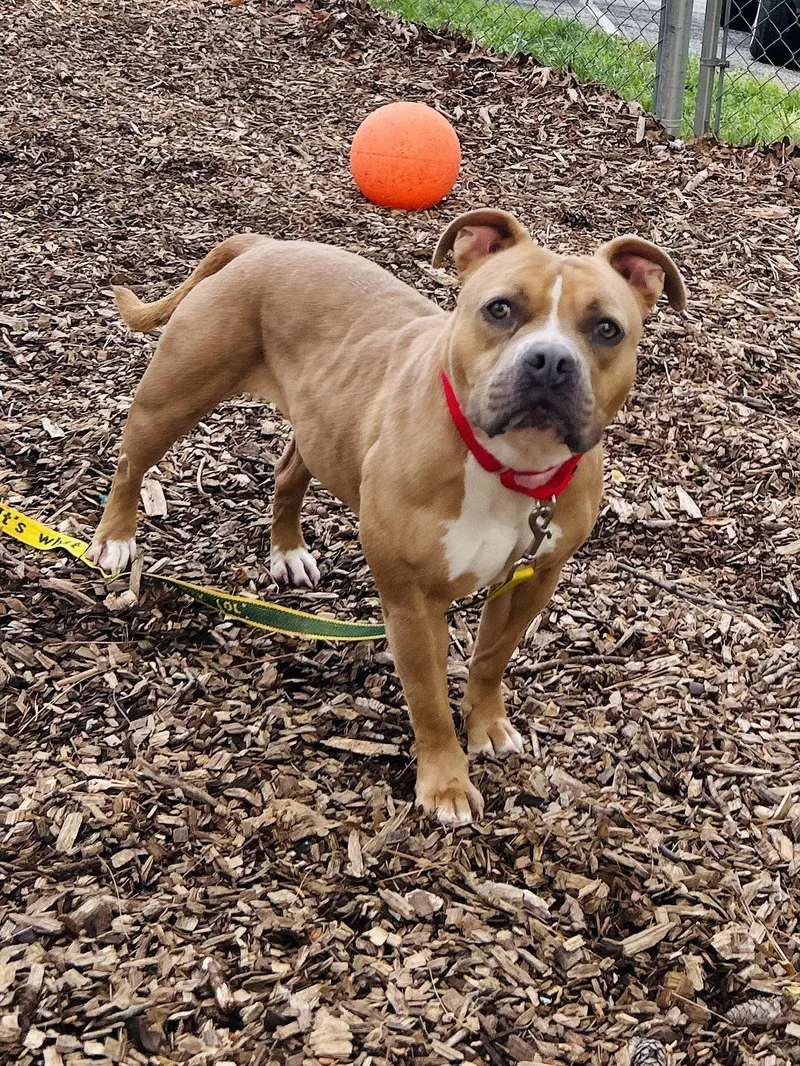 Mamacita thumbnail 3