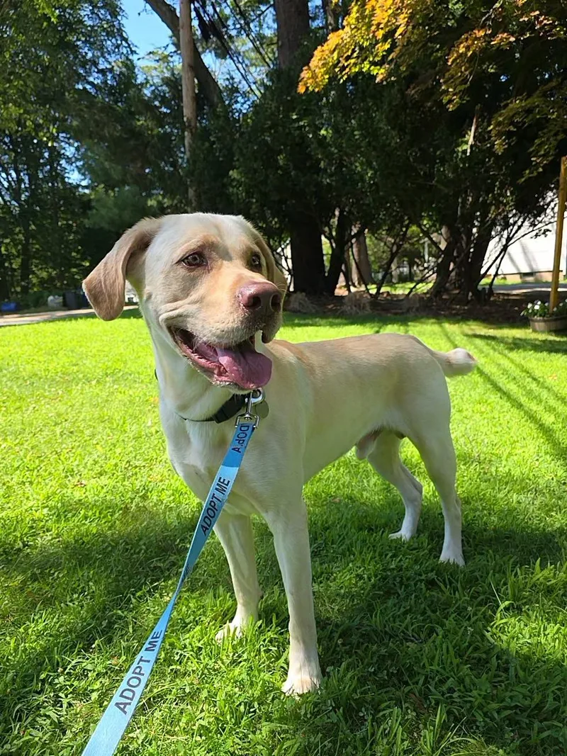 Leo