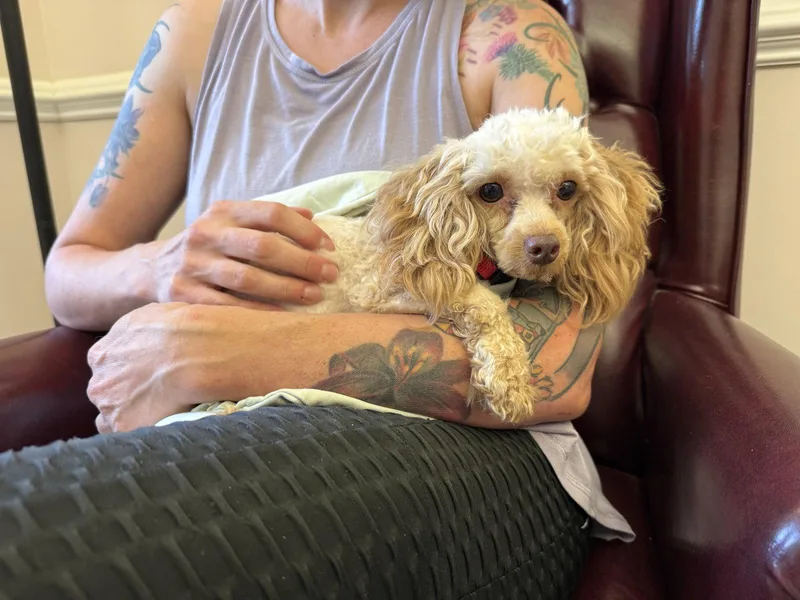 Teddy thumbnail 3