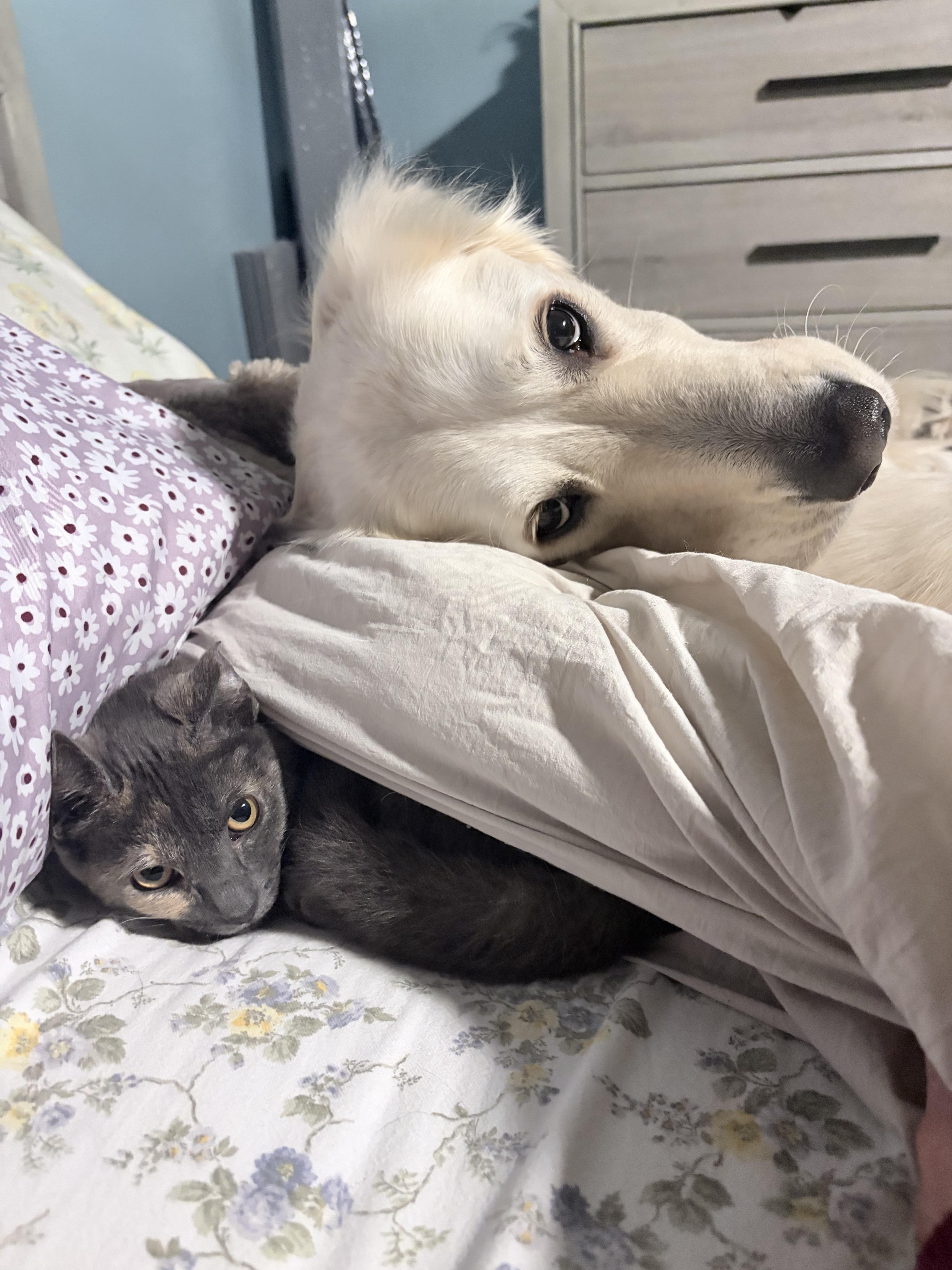 Stinkerbelle thumbnail 3