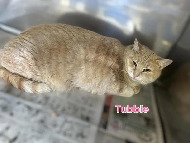 Tubbie thumbnail 3