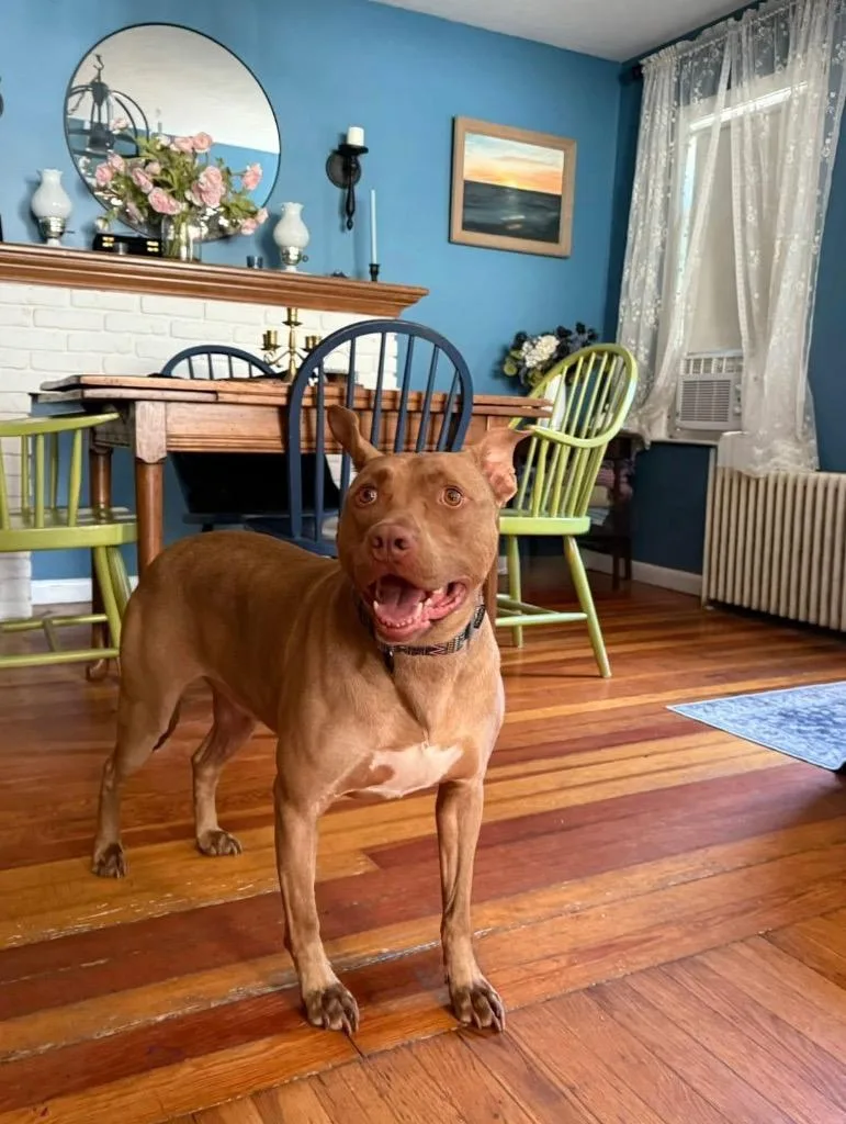 Hershey  Local thumbnail 3