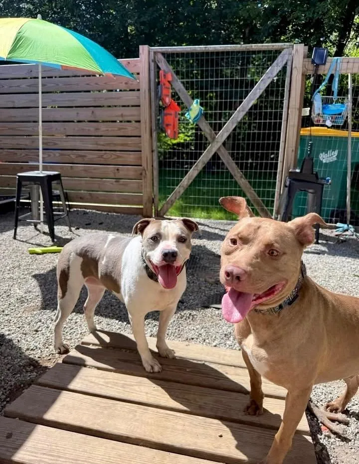 Hershey  Local thumbnail 5