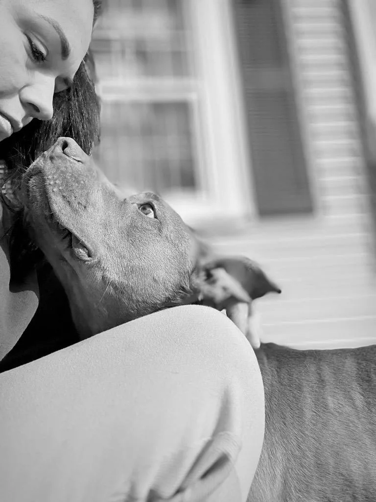 Hershey  Local thumbnail 6