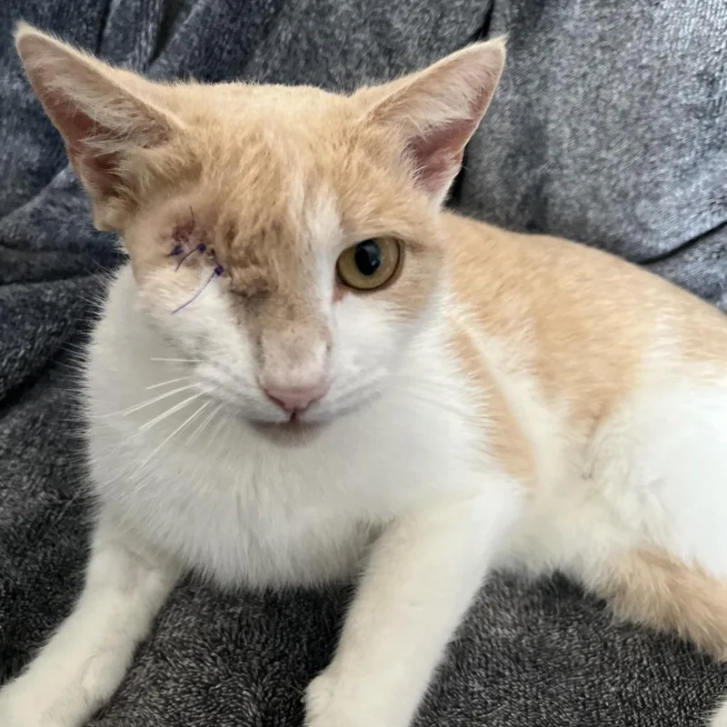 Missy Elliott thumbnail 2