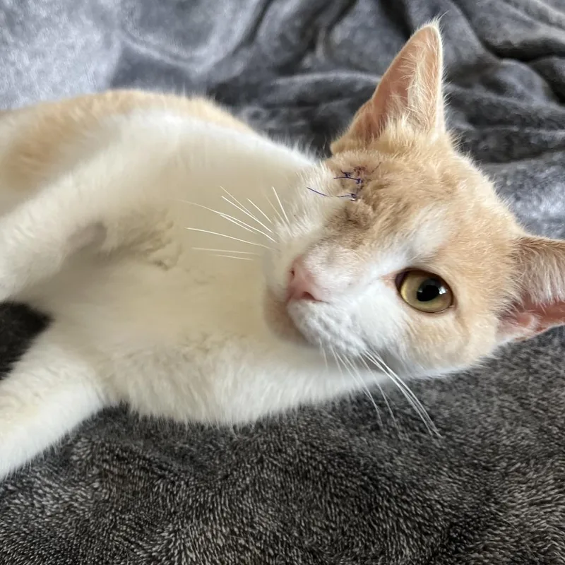 Missy Elliott thumbnail 3