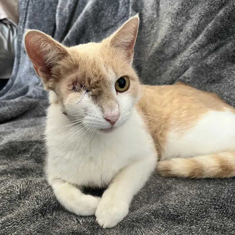 Missy Elliott thumbnail 4