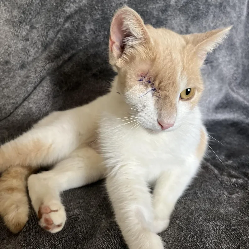 Missy Elliott thumbnail 5