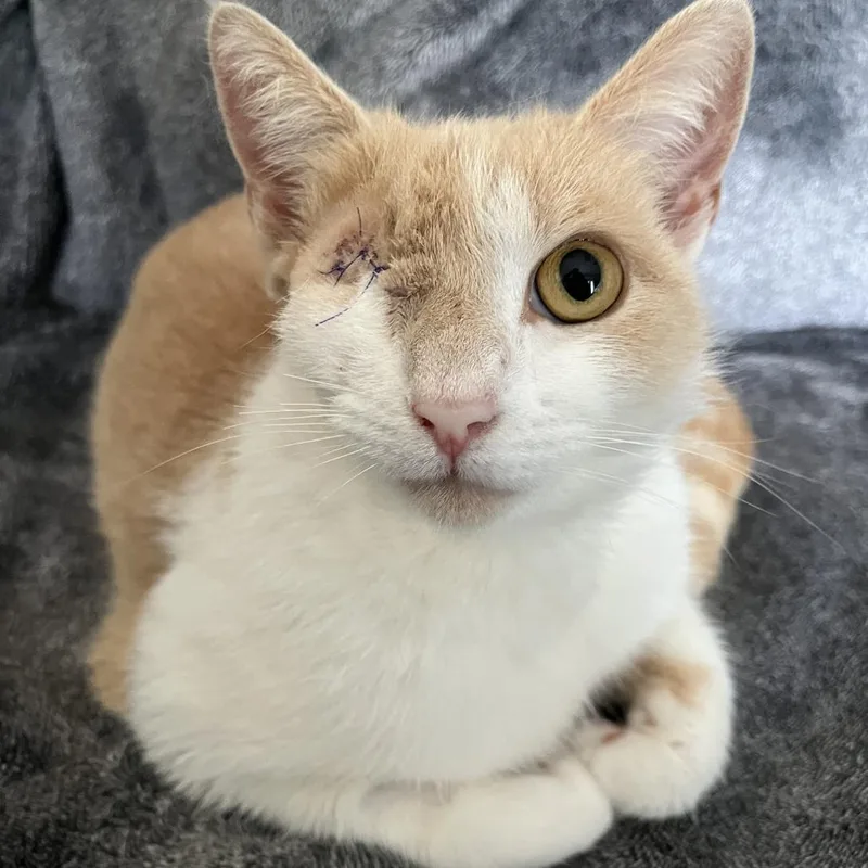 Missy Elliott thumbnail 6