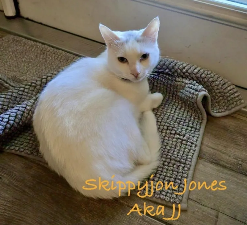 Skippyjon Jones