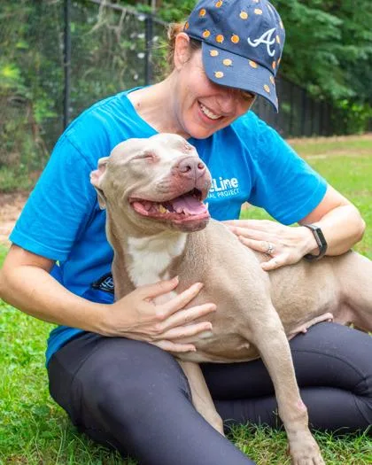 An adult large-sized female Mixed Breed dog named Pavlova for adoption in Chamblee, GA