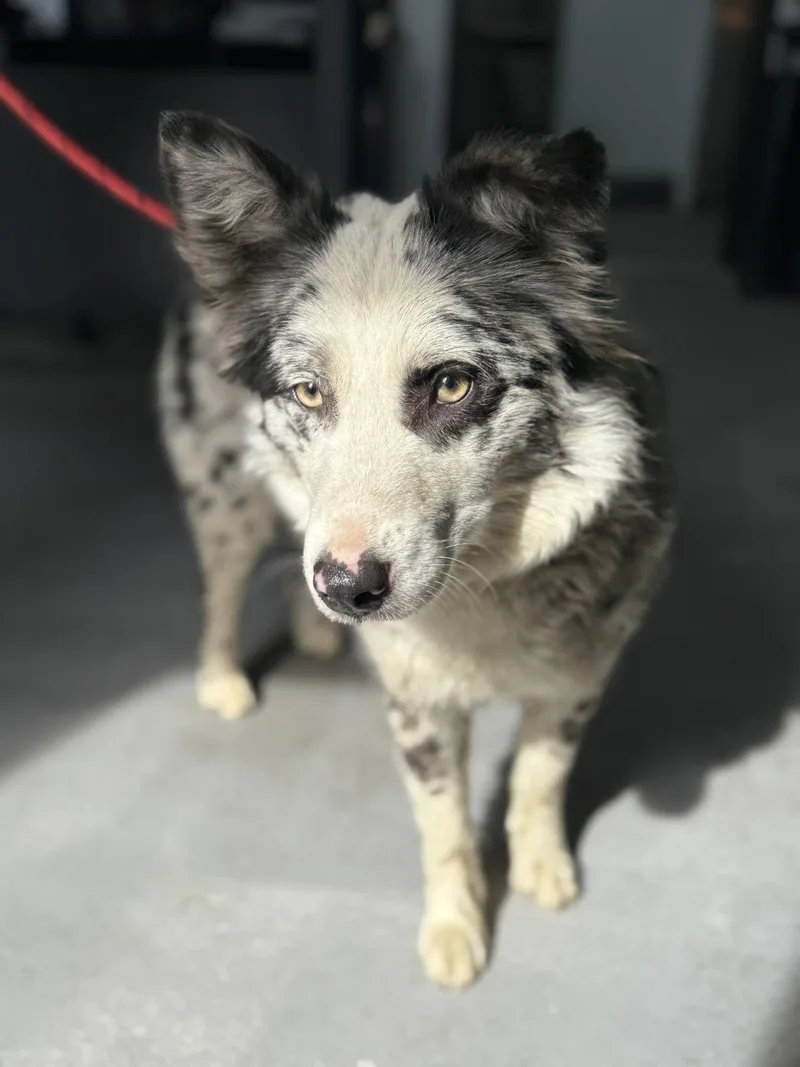 Genevieve thumbnail 2