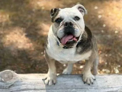Ruthie