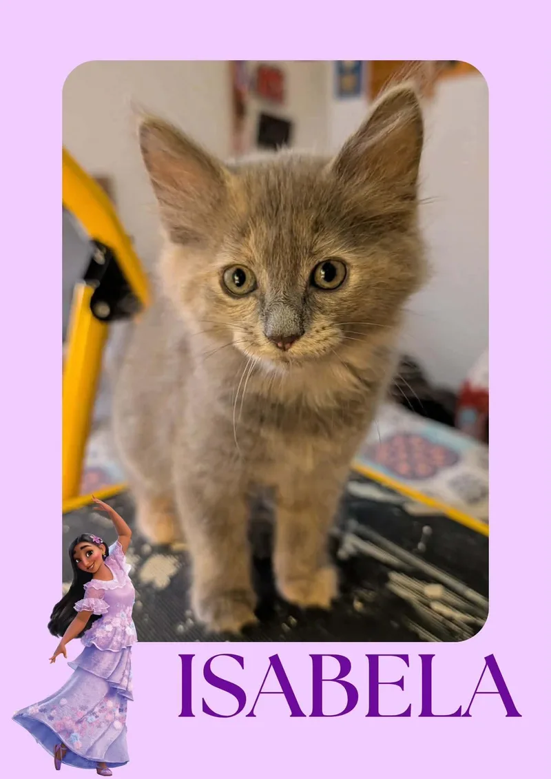 Isabela thumbnail 2
