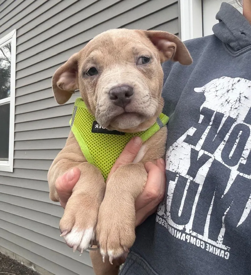 Caroline thumbnail 2