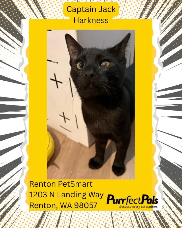 Captain Jack Harkness