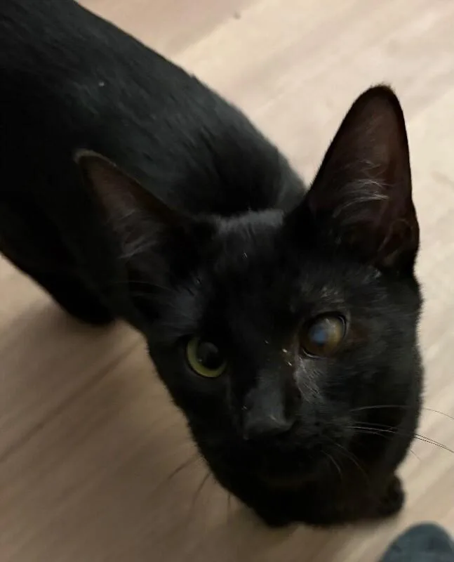 Captain Jack Harkness thumbnail 3