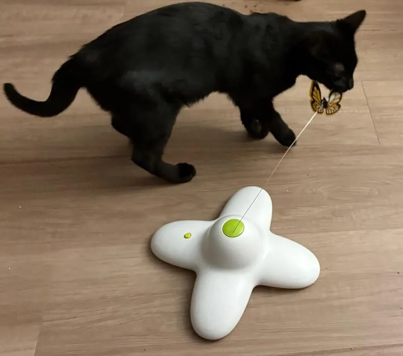 Captain Jack Harkness thumbnail 4