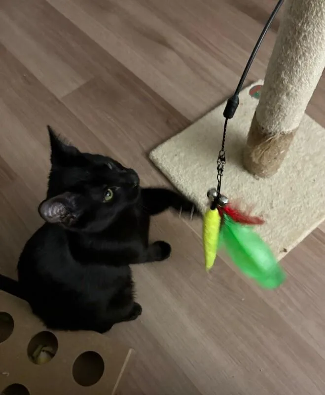 Captain Jack Harkness thumbnail 6