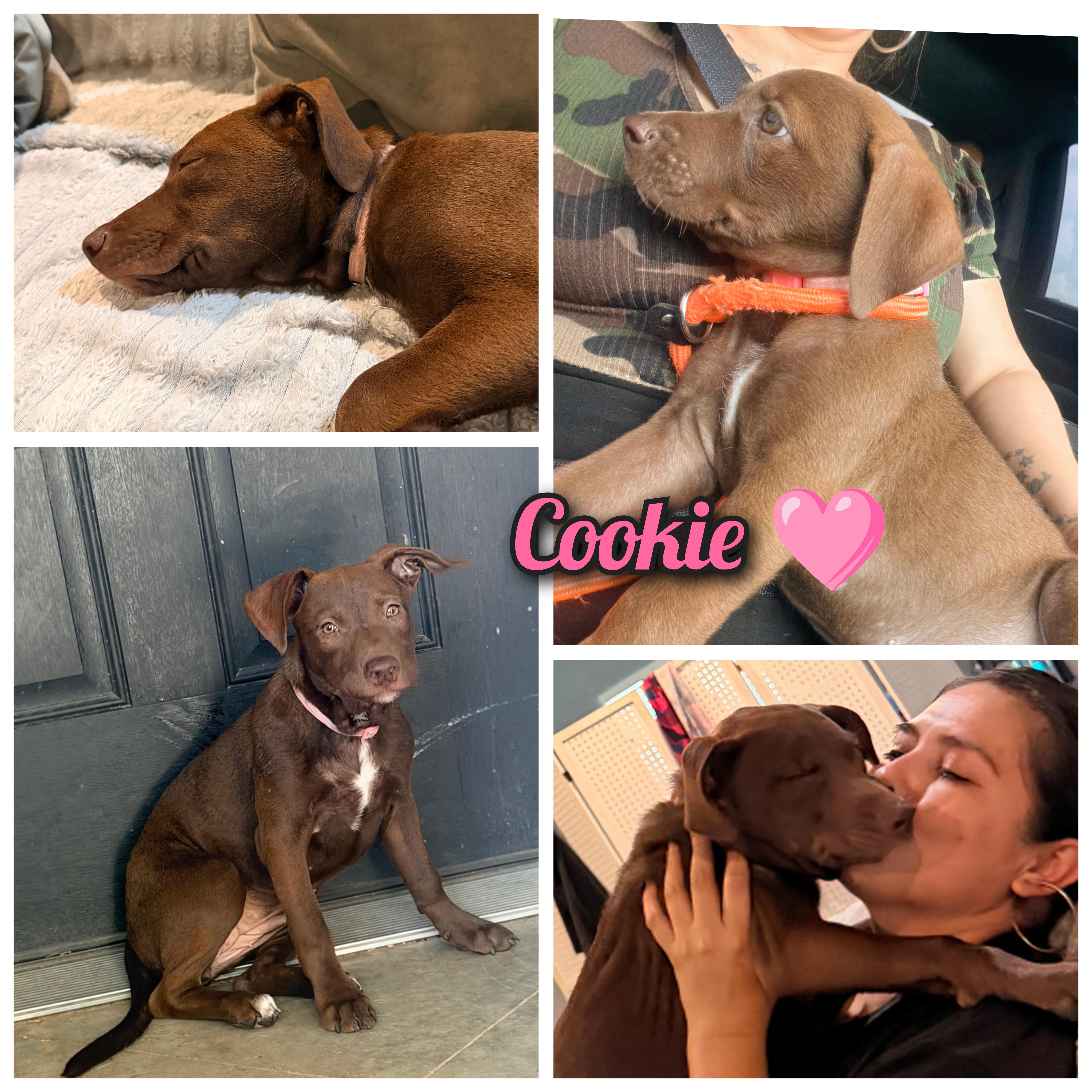 Cookie thumbnail 5