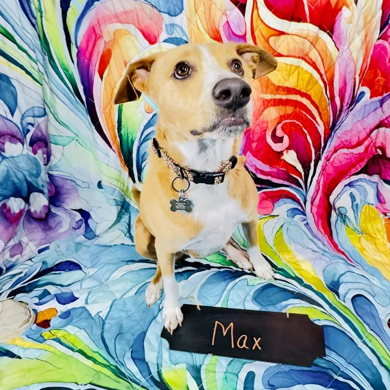 Max thumbnail 5