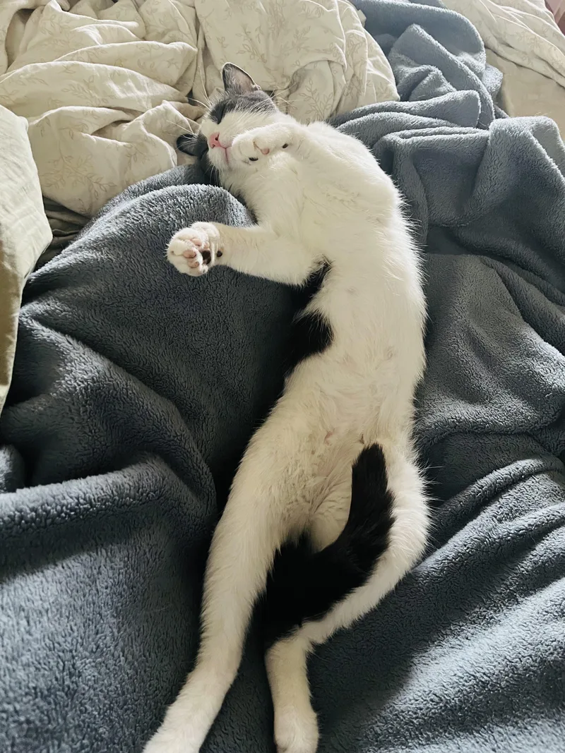 Baby Ruth thumbnail 2