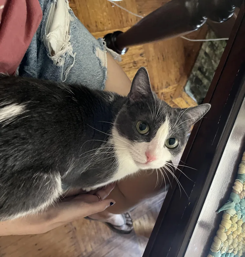 Baby Ruth thumbnail 3