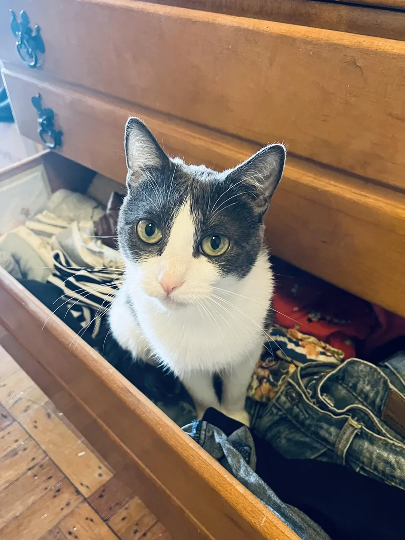 Baby Ruth thumbnail 4