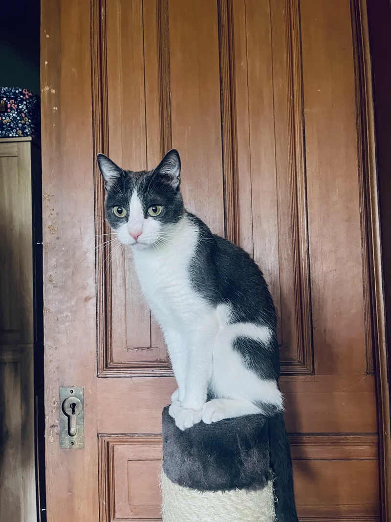 Baby Ruth thumbnail 5