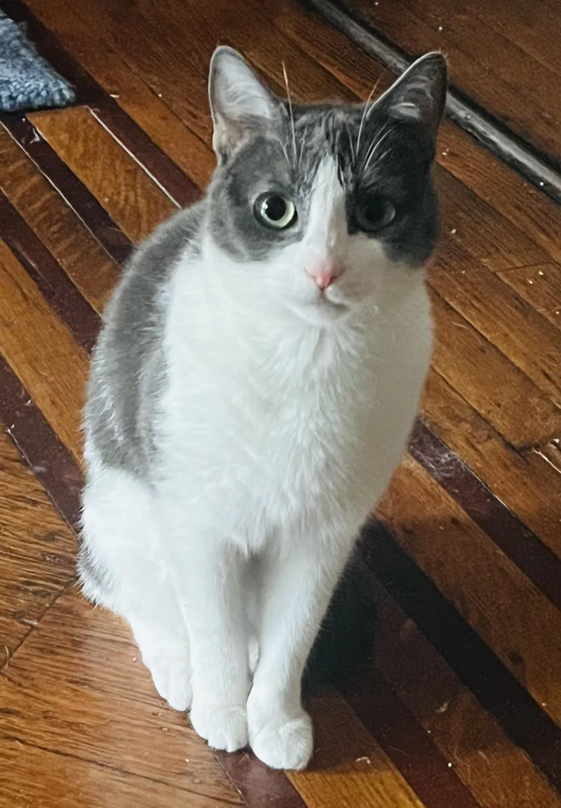 Baby Ruth thumbnail 6