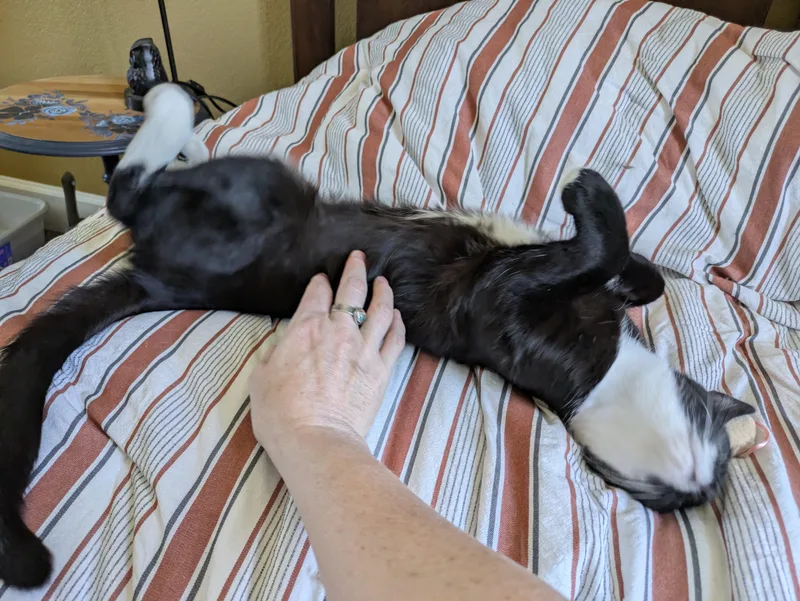 Mr. Right thumbnail 2