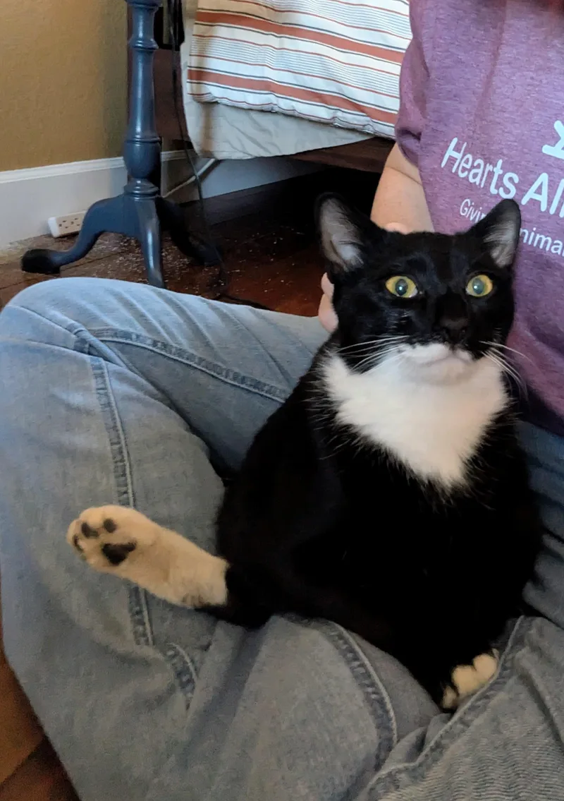 Mr. Right thumbnail 3