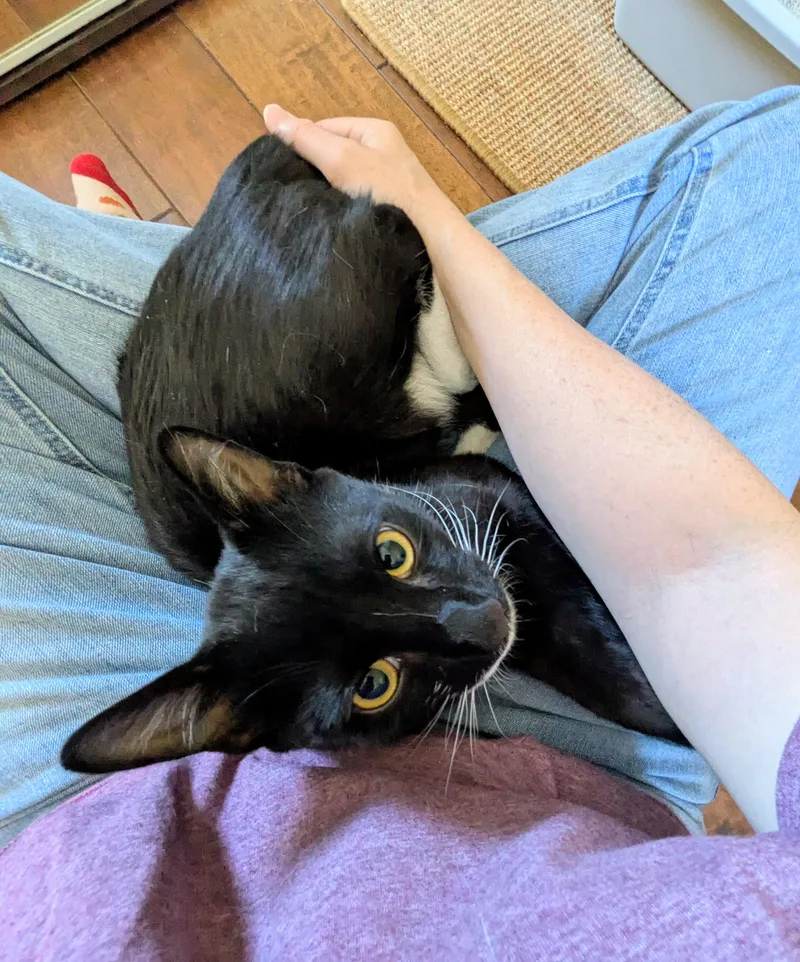 Mr. Right thumbnail 4