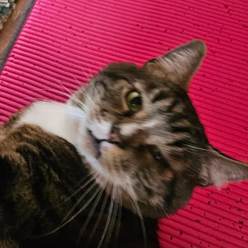 Andy thumbnail 4
