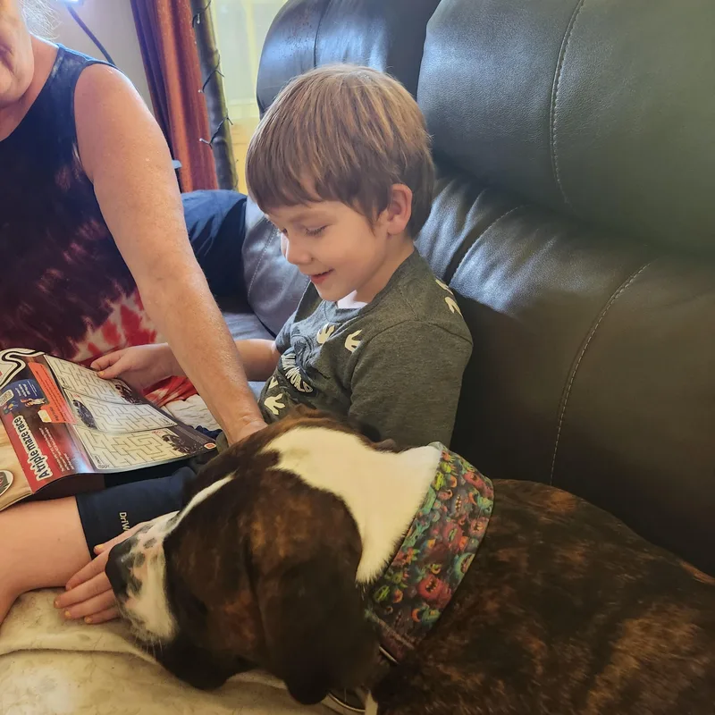 Sebastian thumbnail 2