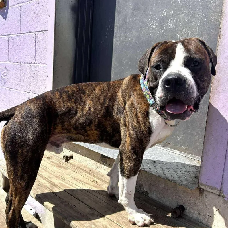 Sebastian thumbnail 4