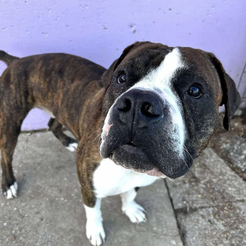 Sebastian thumbnail 5