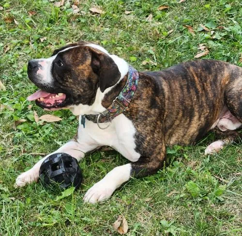 Sebastian thumbnail 6