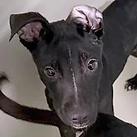 Brian  URGENT thumbnail 2