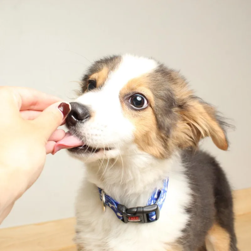 Neptoon D thumbnail 2