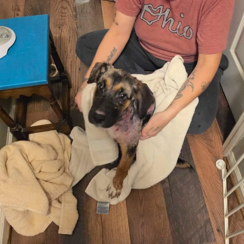 Matilda D thumbnail 3